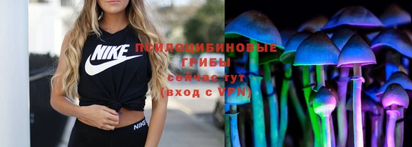 первитин Гатчина