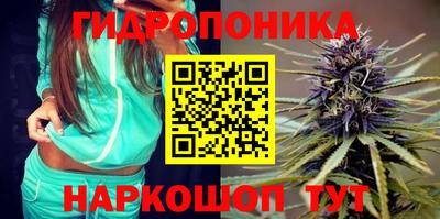 Альфа ПВП Краснознаменск