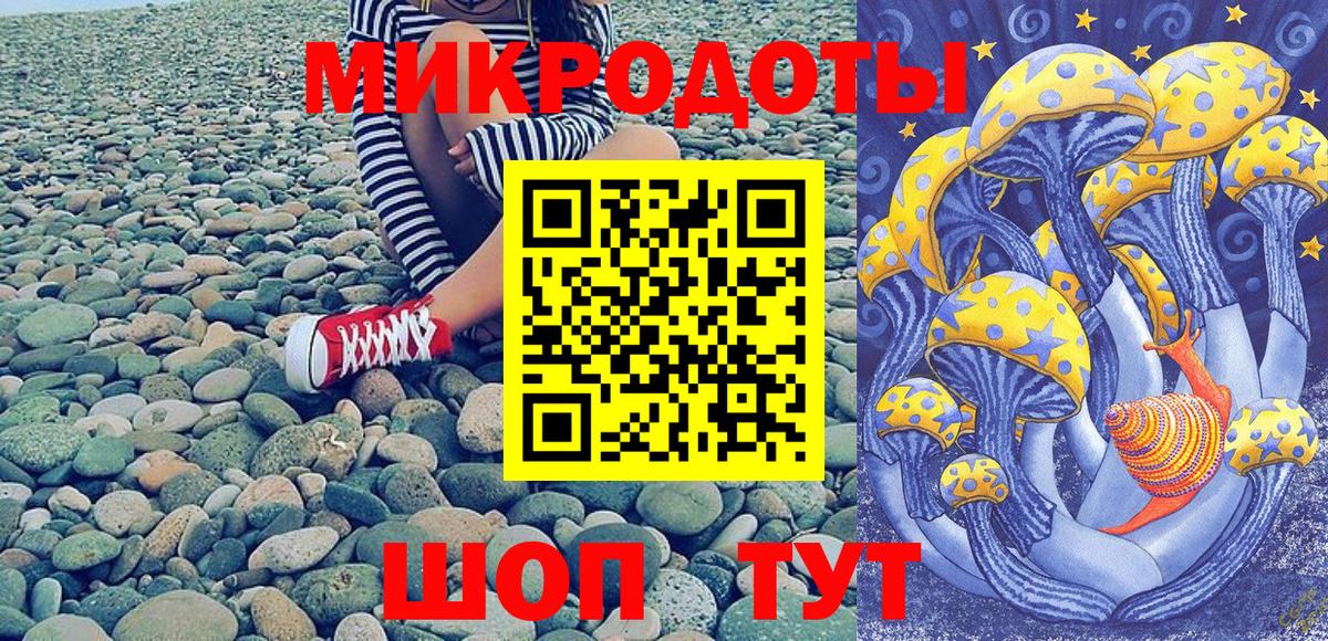 Лениногорск  Галлюциногенные грибы прущие грибы  Вход с VPN 