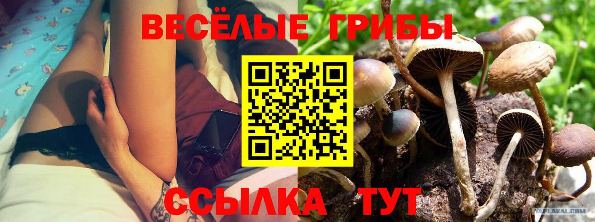 Галлюциногенные грибы GOLDEN TEACHER  Лениногорск 