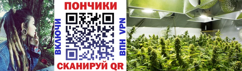 Конопля тримм  hydra ссылки  Лениногорск 